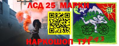 мяу мяу мука Камышлов