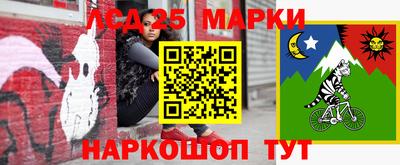 apvp Канаш