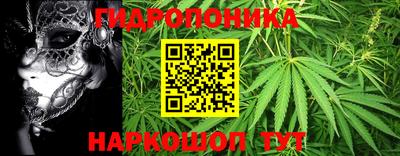 мяу мяу мука Камышлов