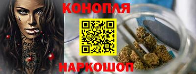 apvp Канаш